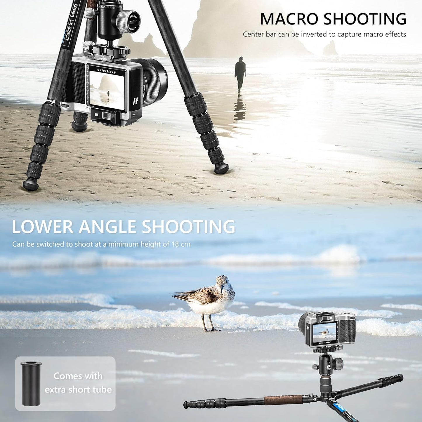 Lightweight Carbon Fiber Reverse Folding Travel Tripod with Ball Head, Removable Center Column, Folded Height 36cm, Maximum Load 6KG(LX-225CT+XB-32Q)